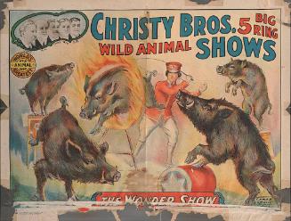 Christy Bros.: Boars Act