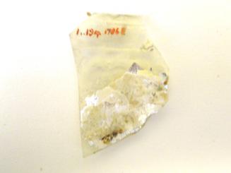 Ancient Glass Fragment