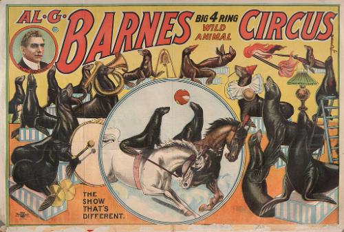 Al. G. Barnes Big 4 Ring Wild Animal Circus: Seal Act