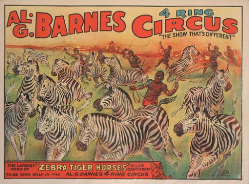 Al. G. Barnes Circus: Zebras