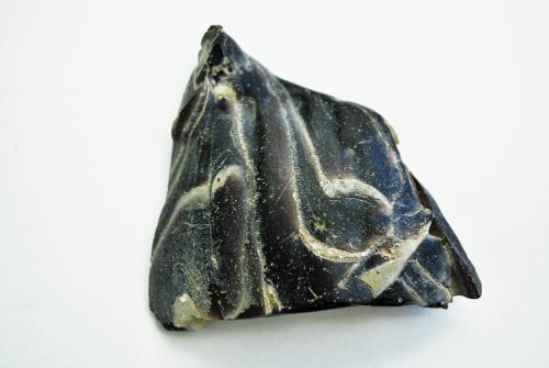 Ancient Glass Fragment