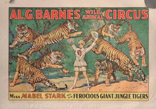Al. G. Barnes Circus: Miss Mabel Stark and Jungle Tigers