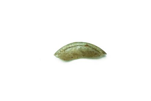 Ancient Glass Fragment