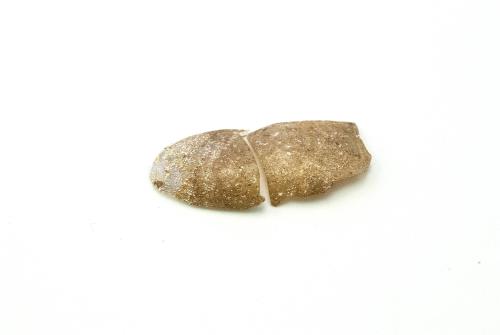 Ancient Glass Fragment