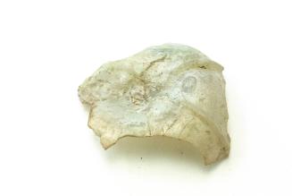 Ancient Glass Fragment