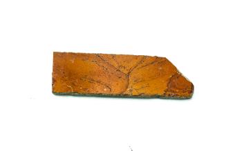Ancient Glass Fragment