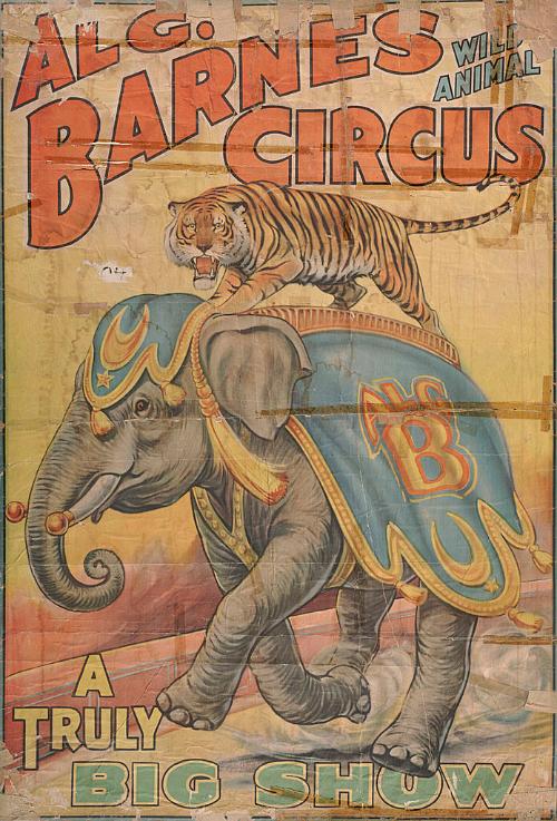Al. G. Barnes Circus: Tiger Rides Elephant