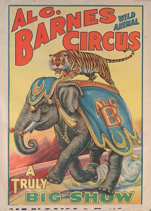 Al. G. Barnes Circus: Tiger Rides Elephant