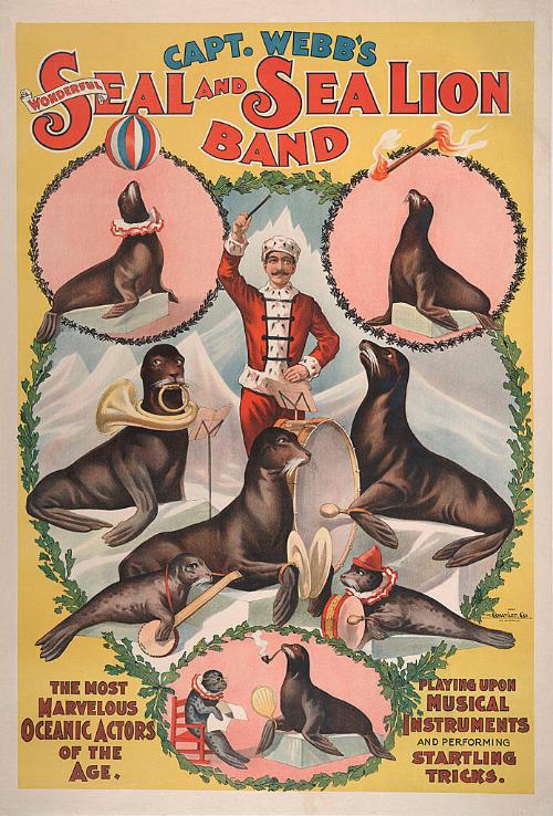 Unknown: Captain Webb's Seal and Sea Lion Band
