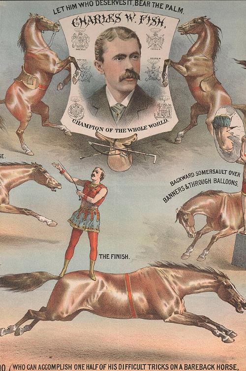 Unknown: Charles W. Fish