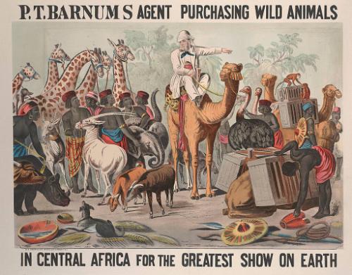 P.T. Barnum: Purchasing Agent
