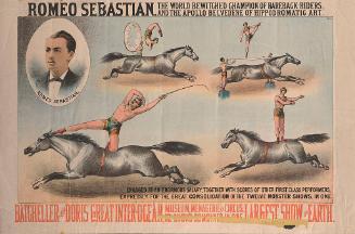 Batcheller and Doris: Romeo Sebastian Bareback Rider