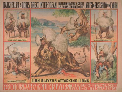 Batcheller and Doris: Lion Slayers Attacking Lions