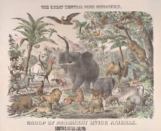 Great Central Park Menagerie: Group of Prominent Living Animals