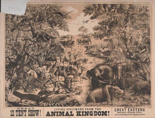 Great Eastern: Animal Kingdom