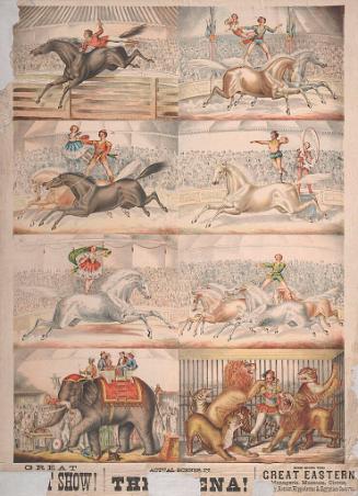 Great Eastern: Horses