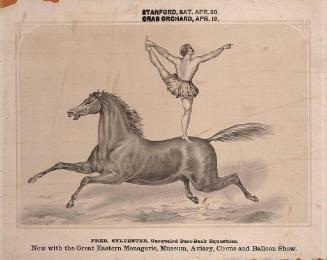 Great Eastern: Fred Sylvester Bareback