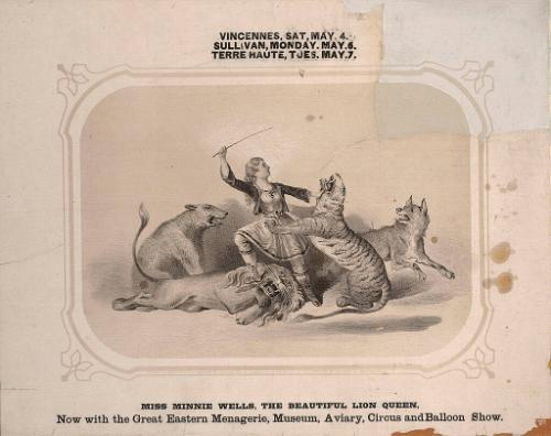 Great Eastern: Miss Minnie Wells Lion Queen