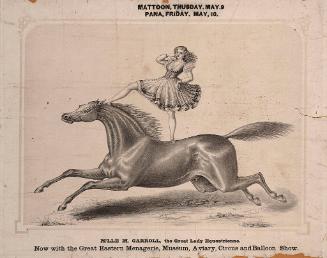 Great Eastern: Mademoiselle M. Carroll Lady Equestrienne