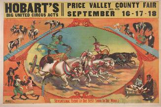 Hobarts Big United Circus Arts: Sensational Event