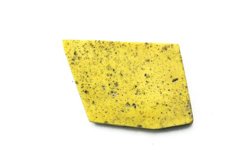 Ancient Glass Fragment
