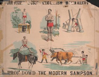 Burr, Robbins and Colvin: Professor Dowd the Modern Sampson