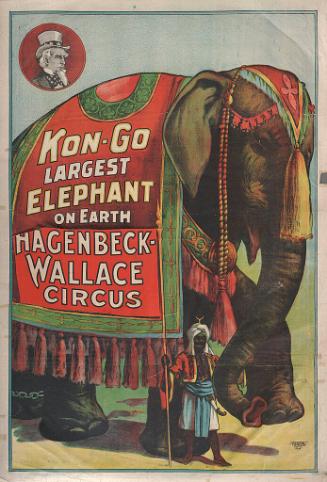 Yankee Robinson: Kon-Go Largest Elephant On Earth