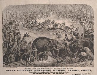 Great Southern Menagerie: Scenes From Menagerie and Hippodrome