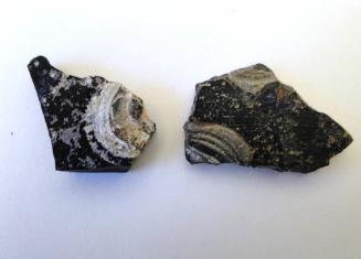 Ancient Glass Fragment