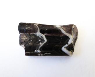 Ancient Glass Fragment