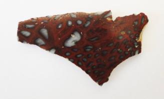 Ancient Glass Fragment