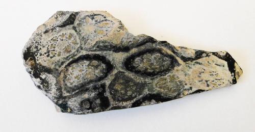 Ancient Glass Fragment