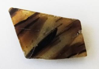 Ancient Glass Fragment