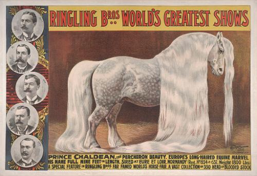 Ringling Brothers: Prince Chaldean