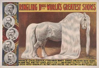 Ringling Brothers: Prince Chaldean