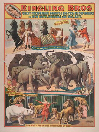Ringling Brothers: Great Performing Groups & Big Trained Numbers in New Novel Unusual Animal Acts