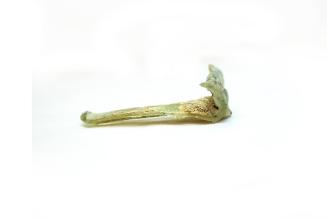 Ancient Glass Fragment