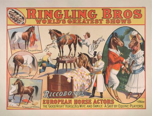Ringling Brothers: Riccobono's European Horse Actors