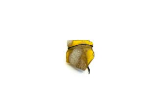 Ancient Glass Fragment