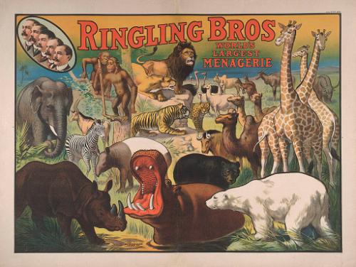 Ringling Brothers: World's Largest Menagerie