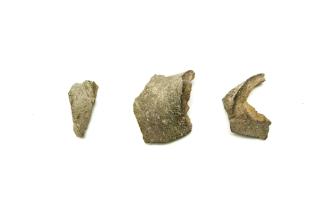 Ancient Glass Fragment