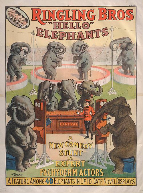 Ringling Brothers: Hello Elephants
