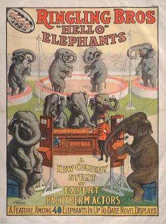 Ringling Brothers: Hello Elephants