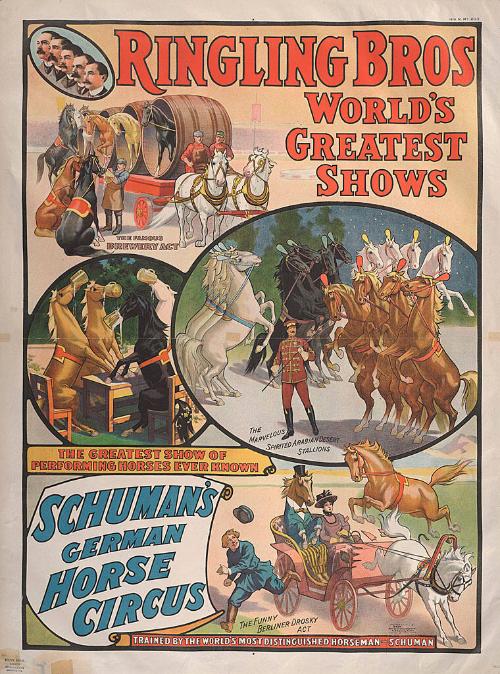 Ringling Brothers: Schuman's German Horse Circus