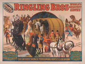 Ringling Brothers: Schuman's German Horse Circus