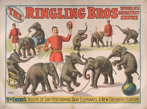 Ringling Brothers: William Emery's Tiny Performing Baby Elephants
