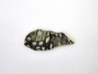 Ancient Glass Fragment