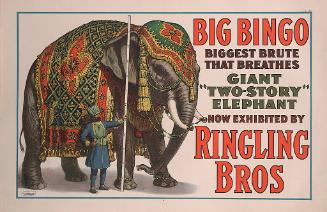 Ringling Brothers: Big Bingo