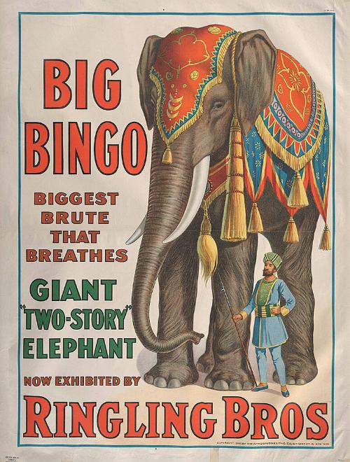 Ringling Brothers: Big Bingo