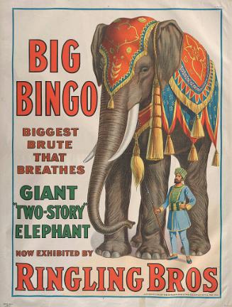 Ringling Brothers: Big Bingo